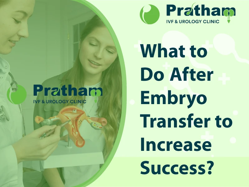 Embryo Transfer