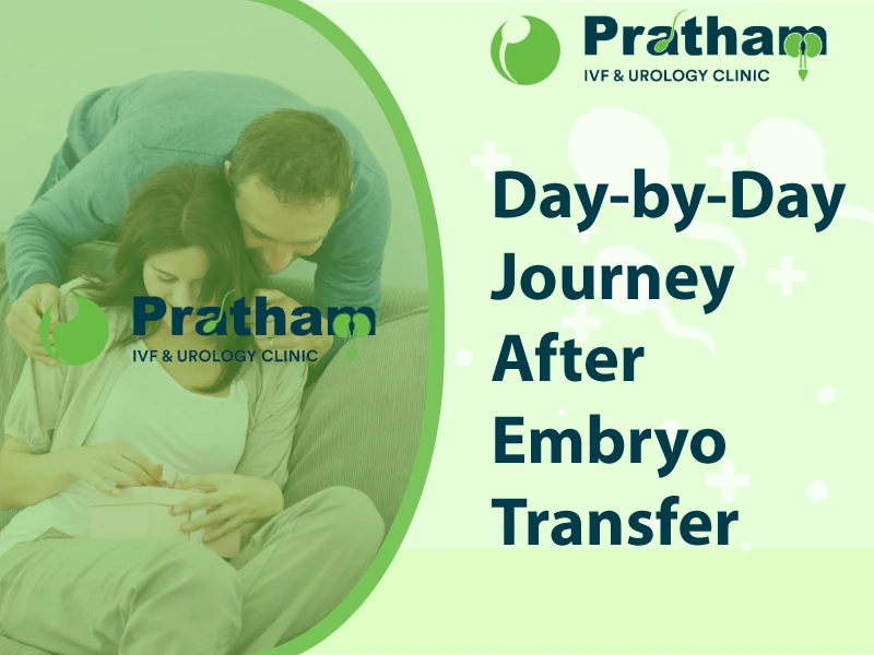 Embryo Transfer