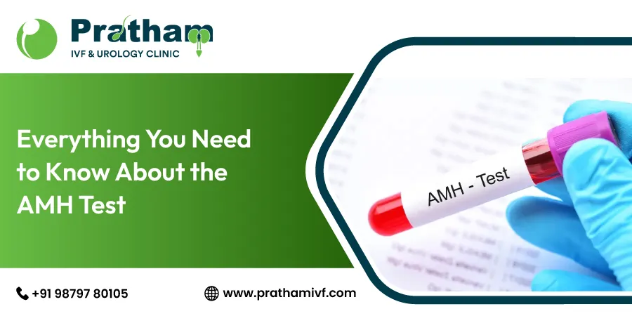 Everything You Need to Know About the AMH Test