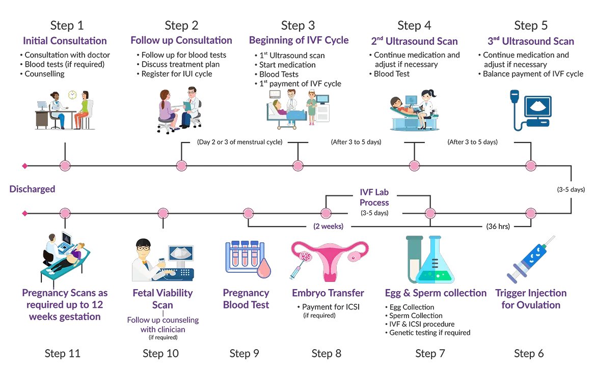 IVF journey