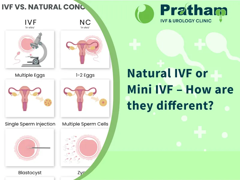 natural-ivf-or-mini-ivf