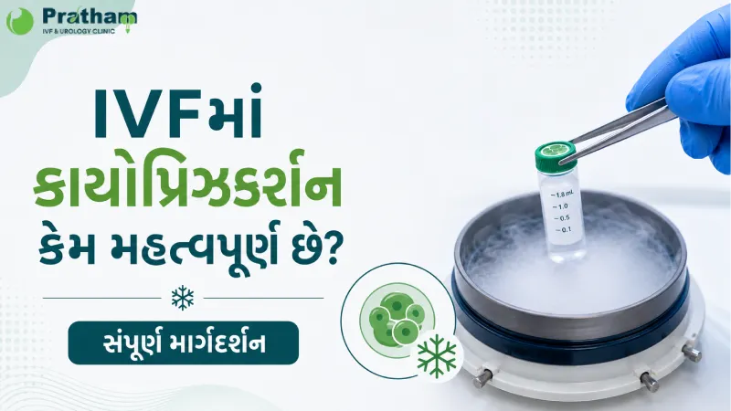 IVFમાં ક્રાયોપ્રિઝર્વેશન કેમ મહત્વપૂર્ણ છે? સંપૂર્ણ માર્ગદર્શન