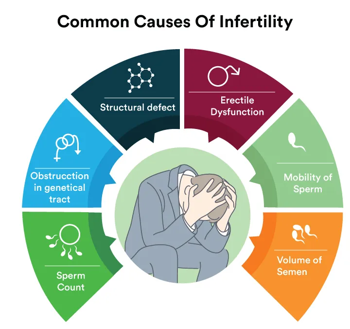 Male Infertility Treatment