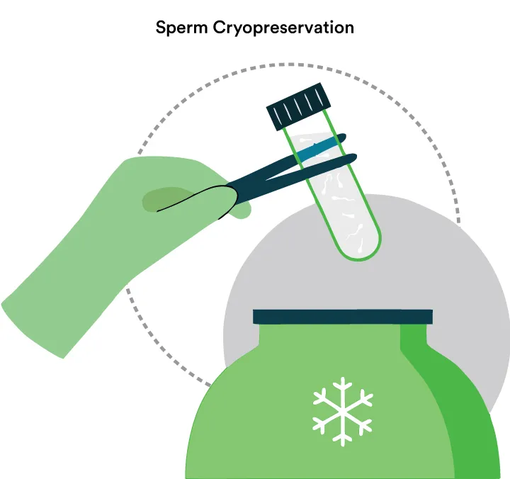 Cryopreservation