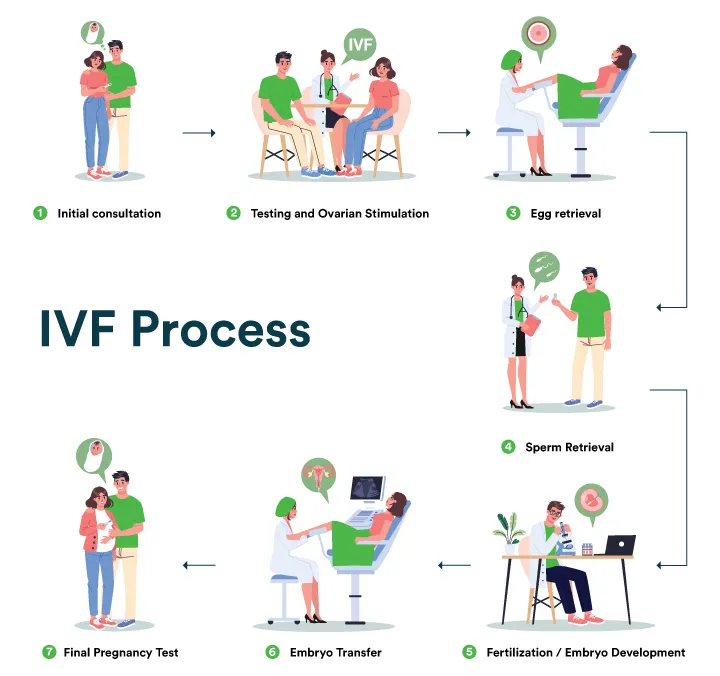 ivf-process